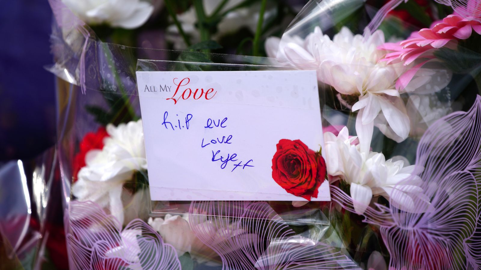 Three people killed in Cardiff car crash after night out are named | UK ...