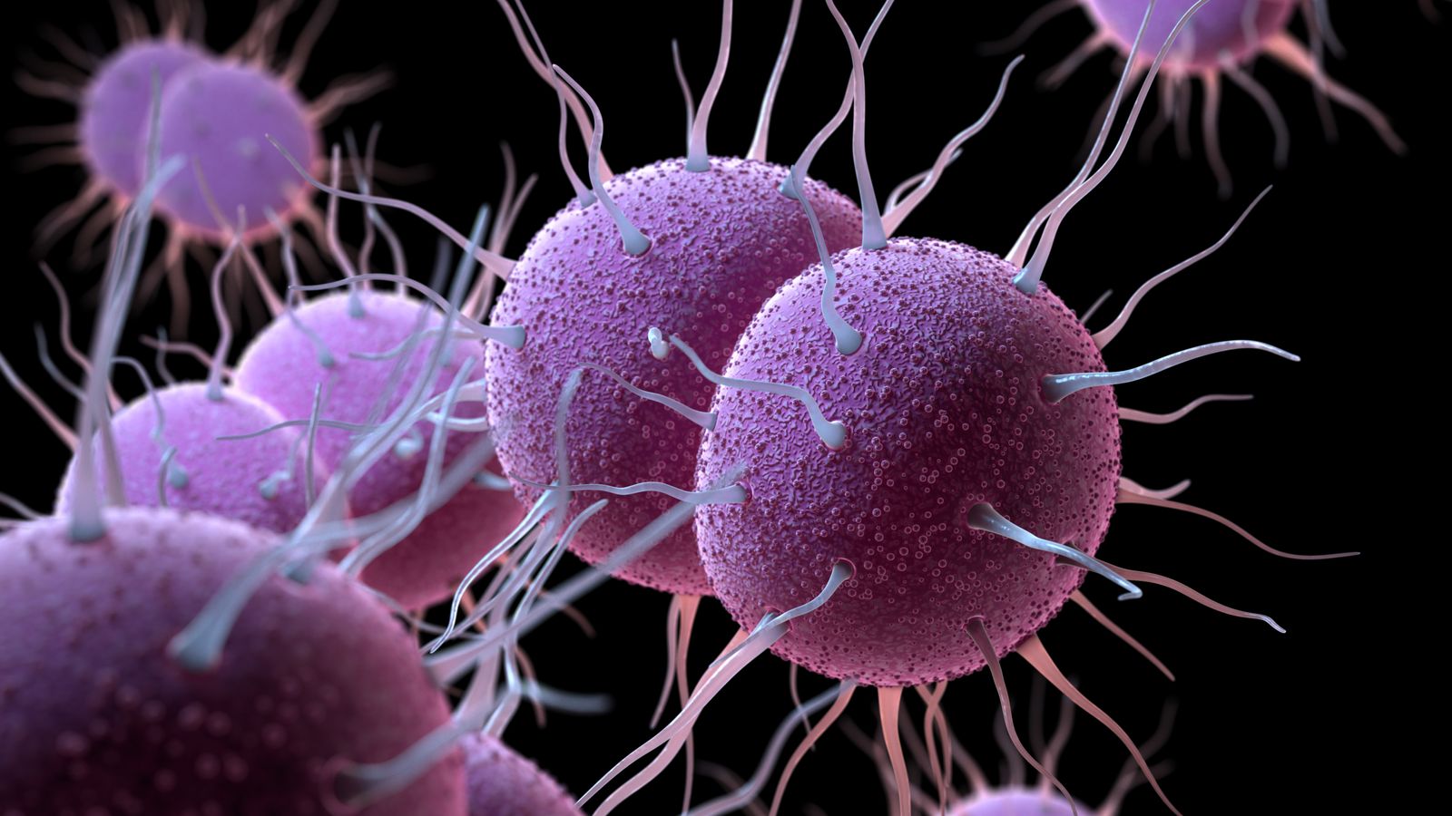 Gonorrhoea cases rise by over a fifth on pre-pandemic levels