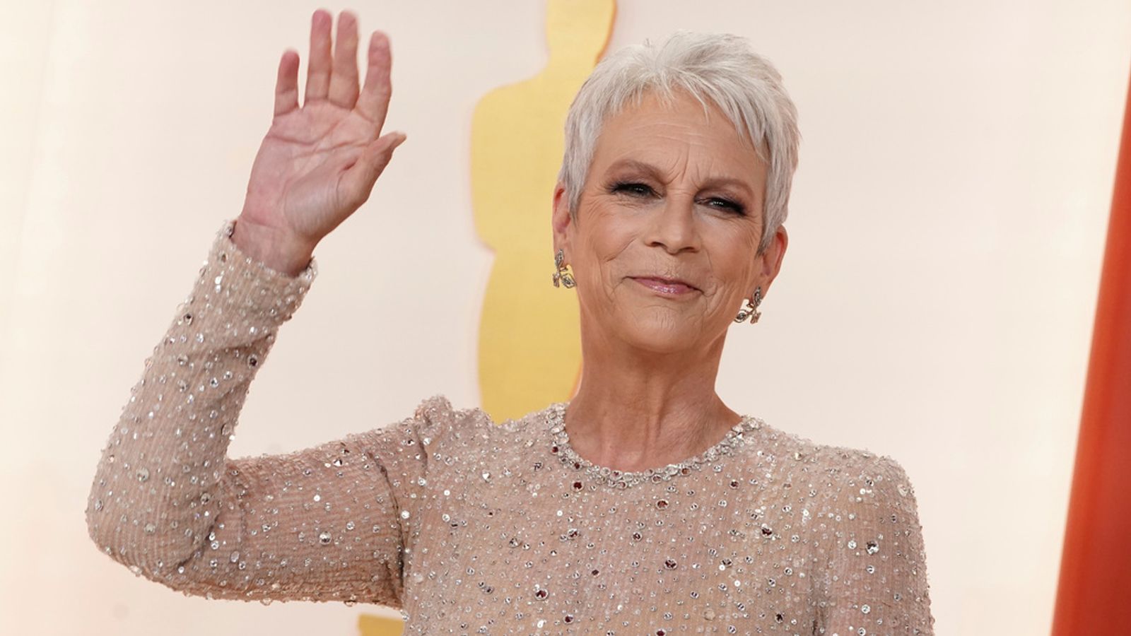 Actress Jamie Lee Curtis calls Everything Everywhere All At once a  'masterpiece' | Ents & Arts News | Sky News