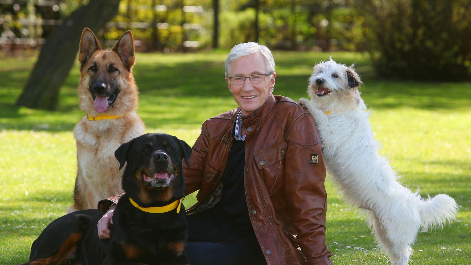 Paul O'Grady's funeral to feature guard of honour by dogs from his beloved Battersea rescue centre
