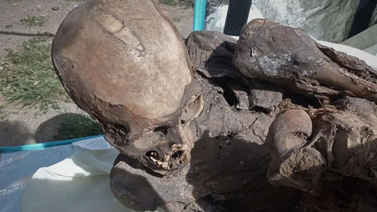 Mummy discovered in delivery driver's cooler bag in Peru
