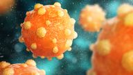 Hepatitis B virus on a white background. 3d illustration stock photo. Pic: iStock