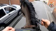 Mounted police in Taunton spotted a driver using their phone at the wheel and promptly followed the car to inform the driver.