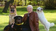 EDITORIAL USE ONLY File photo dated 07/05/13 of Paul O&#39;Grady with rescue dogs Razor a German Shepherd, Moose a Rottweiler and Dodger a Terrier at London&#39;s Battersea Park.