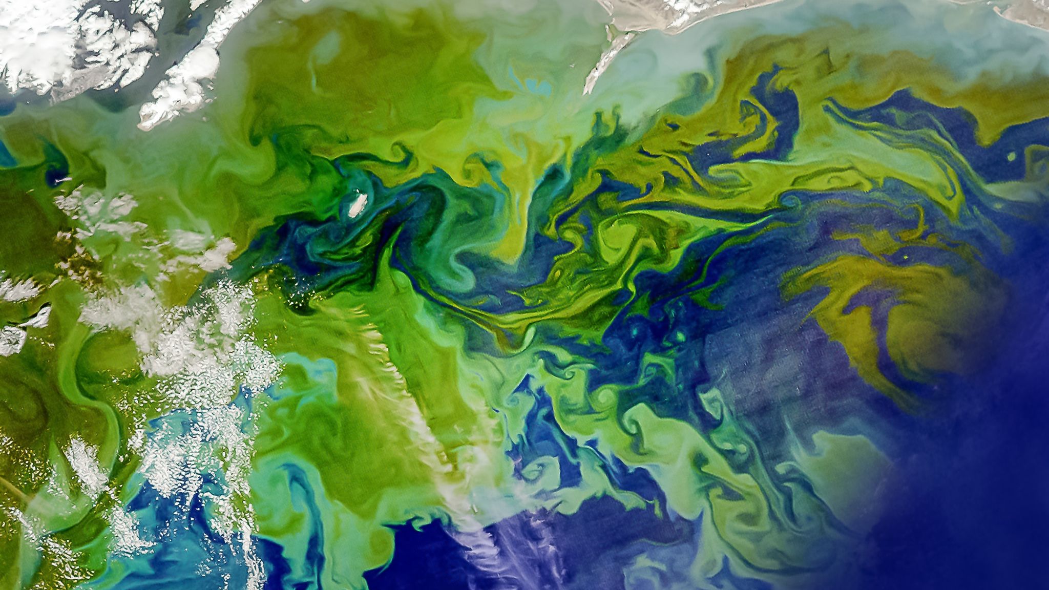 Striking satellite images reveal beauty and danger of algal blooms