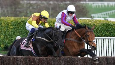 Cobden: Bravemansgame just beaten by a better horse in Gold Cup