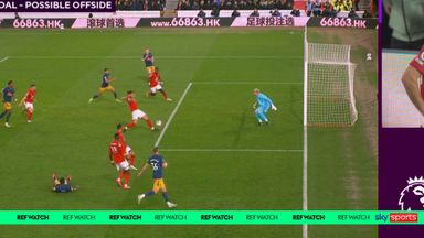 Should've Anderson's goal stood? | Was Felipe clearance deliberate?  