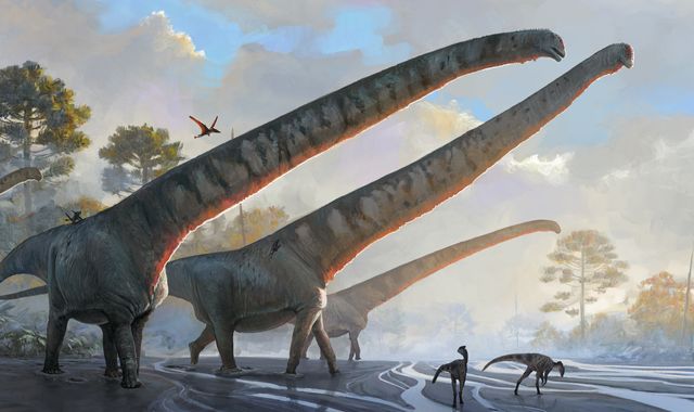 Dinosaur Had Longest Neck Ever Seen In An Animal, Scientists Say