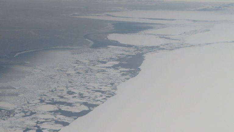 A81 buzdağı.  Resim: İngiliz Antarktika Araştırması 