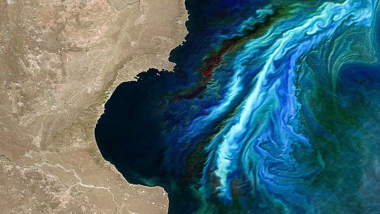 Intensifying phytoplankton blooms in earth&#39;s coastal oceans. Pic: Lian Feng
