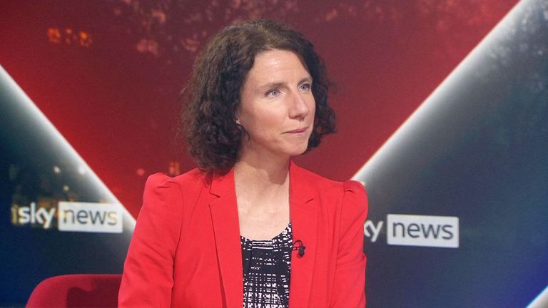 Labour Party chair Anneliese Dodds