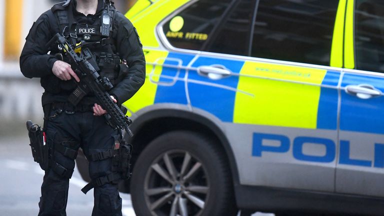 Armed police in London. File pic