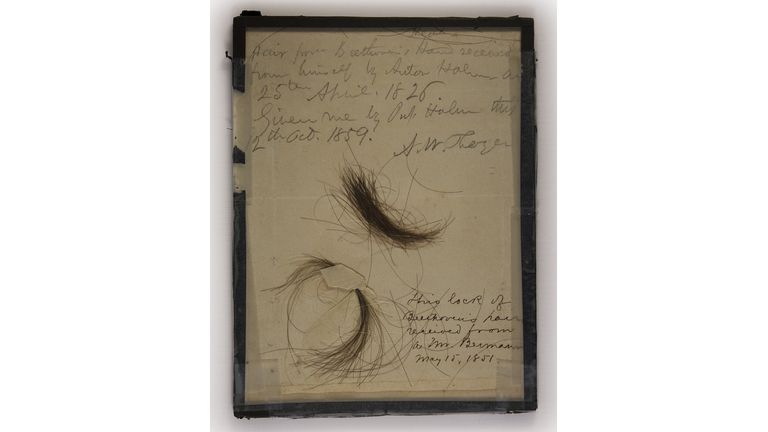 Locks of what is believed to be Beethoven’s hair from public and private collections