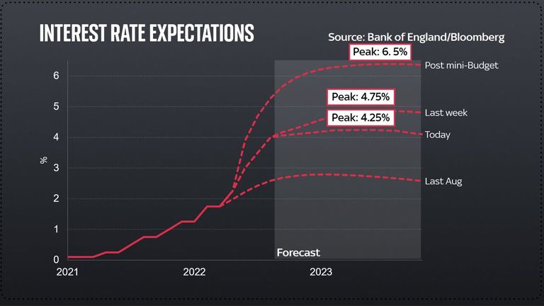 Interest Rate Expectations