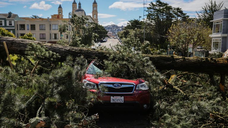 A tree lies on a car on Parker Avenue in San Francisco after heavy rainstorms on Wednesday