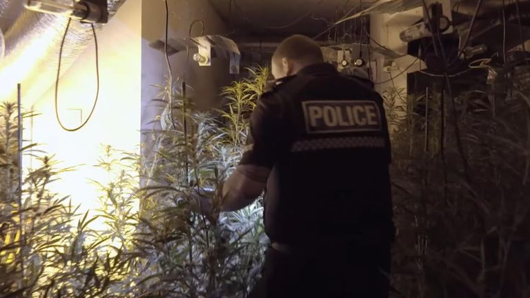 Moment police uncovered a £2.5m cannabis farm in an abandoned pub in County Durham