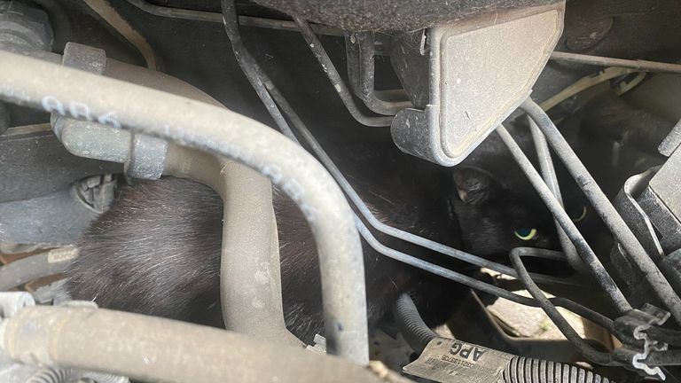 Undated handout photo released by Cats Protection A cat survived the five-mile round trip under the hood of the Vauxhall Astra during a school run after escaping from the home. Release date: Wednesday, March 22, 2023.