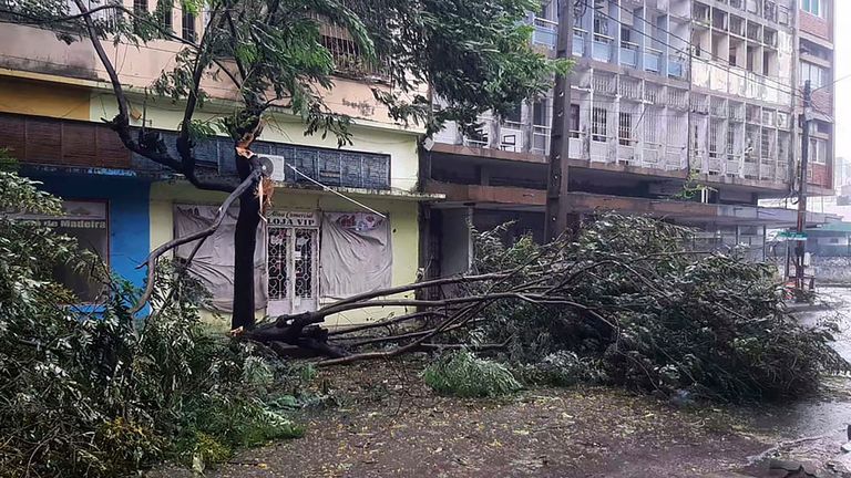 Trees are strewn across a street in Quelimane, Mozambique, Saturday, March 11, 2023. Record breaking Cyclone Freddy, will make its second landfall in Mozambique on Sunday morning as an "intense tropical cyclone". (AP Photo)