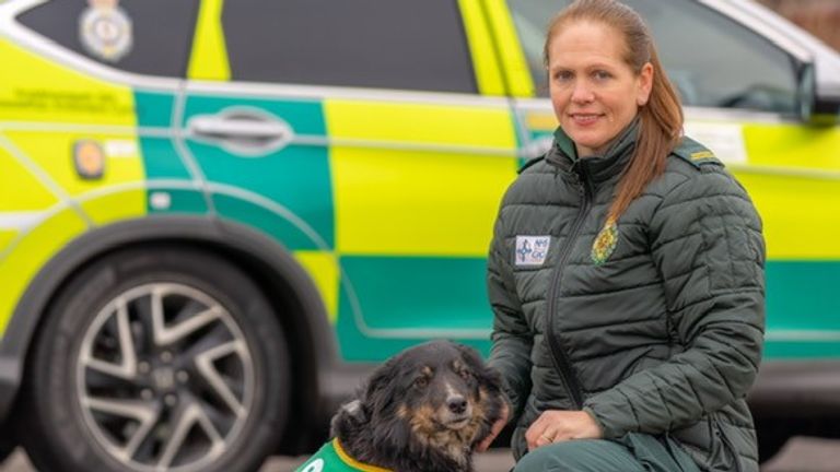 Dill and her handler, Katie, will be helping staff and volunteers at the Welsh Ambulance Service with their mental health and wellbeing