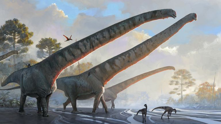 An artist&#39;s impression issued by the Natural History Museum of Mamenchisaurus sinocanadorums