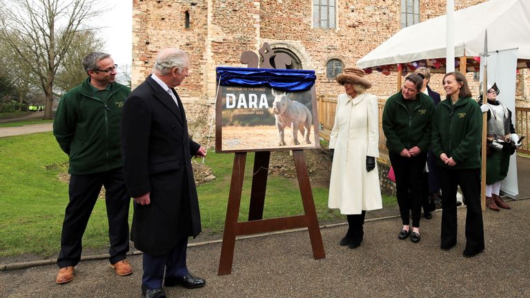 The King welcomed Dara the Rhino to Colchester Zoo