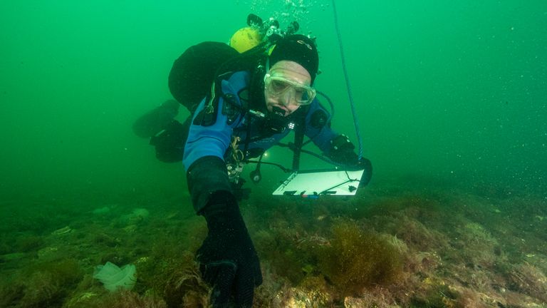 A scientist diving in Loch Ryan. Pic: Heriot-Watt University