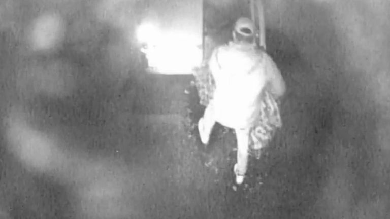 CCTV footage shows money being loaded into a van during the theft