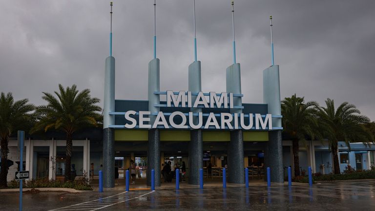 Miami Seaquarium'un girişi Miami'de 30 Mart 2023 Perşembe günü görülüyor.  Bir tema parkı sahibi, hayvan hakları grubu ve NFL sahibi-hayırseverden oluşan beklenmedik bir koalisyon Perşembe günü, Miami Deniz Akvaryumu'nda 50 yıldan fazla bir süredir yaşayan bir orca olan Lolita'yı memleketindeki sularına geri döndürmek için bir planın yürürlükte olduğunu duyurdu. Pasifik Kuzeybatı.  (AP aracılığıyla Alie Skowronski/Miami Herald)