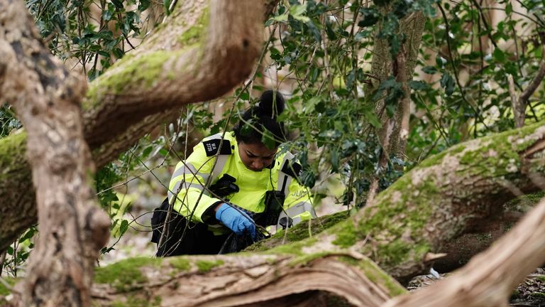 A police officer in woodland at Wild Park Local Nature Reserve, near Moulsecoomb, Brighton, where the urgent search operation continues to find the missing baby of Constance Marten and Mark Gordon. The pair were arrested on suspicion of gross negligence manslaughter on Tuesday after being stopped in Brighton on Monday following several weeks of avoiding the police, but the baby was not with them. Picture date: Wednesday March 1, 2023.