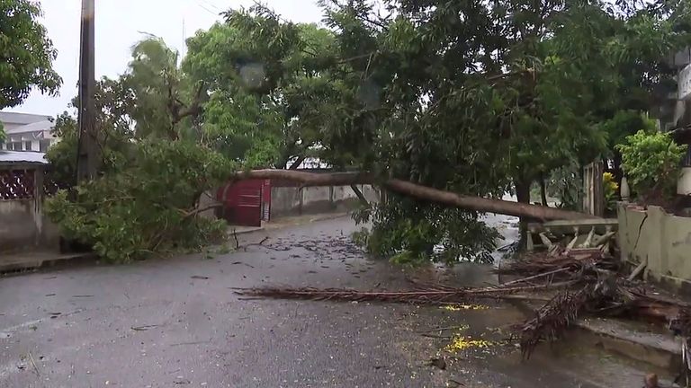 A tree straddles a street in Quelimane, Mozambique, Sunday, March 12, 2023. Record-breaking Cyclone Freddy made landfall in Mozambique for the second time on Saturday night, as heavy rains battered the southern African country and disrupted transport and telecommunications services.  (Photo by Associated Press)