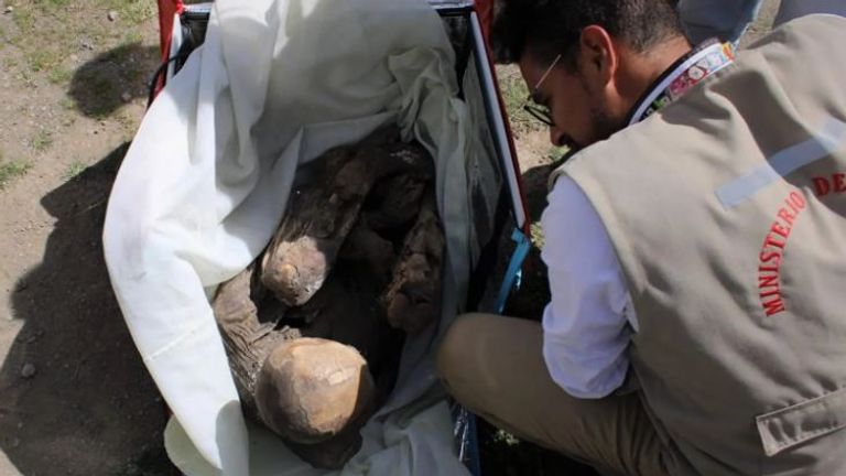 A mummy found in a delivery driver&#39;s cool bag in Peru. Pic: Peru&#39;s Ministry of Culture