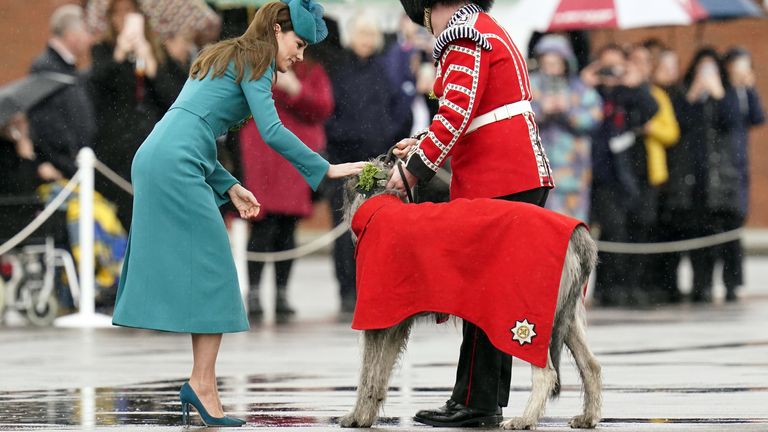 The Princess of Wales places sprigs of shamrock onto the collar of Irish Wolfhound mascot, Seamus during a visit to the 1st Battalion Irish Guards for the St Patrick&#39;s Day Parade, at Mons Barracks in Aldershot. Picture date: Friday March 17, 2023.