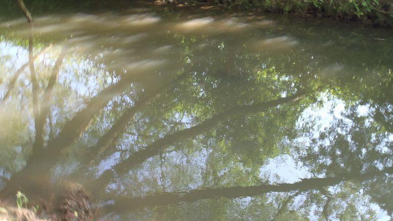 Anglian Water was fined more than £500,000 in January for failing to stop the discharge of raw sewage into the River Great Ouse within 23 hours, killing 5,000 fish