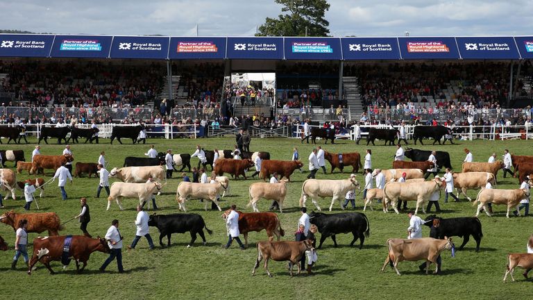 The grand parade of livestock in the showground during the Royal Highland Show in Edinburgh in 2017.