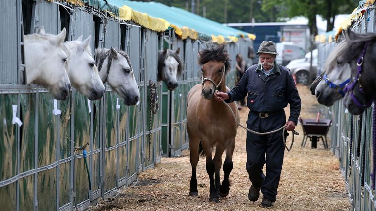 Robert Davidson from Crieff walks his highland pony ahead of the Royal Highland Show being held at Ingliston near Edinburgh which starts tomorrow until June 26.