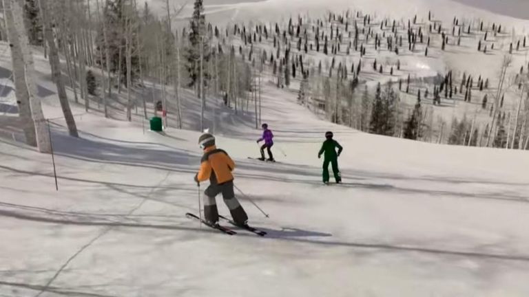 ski animation