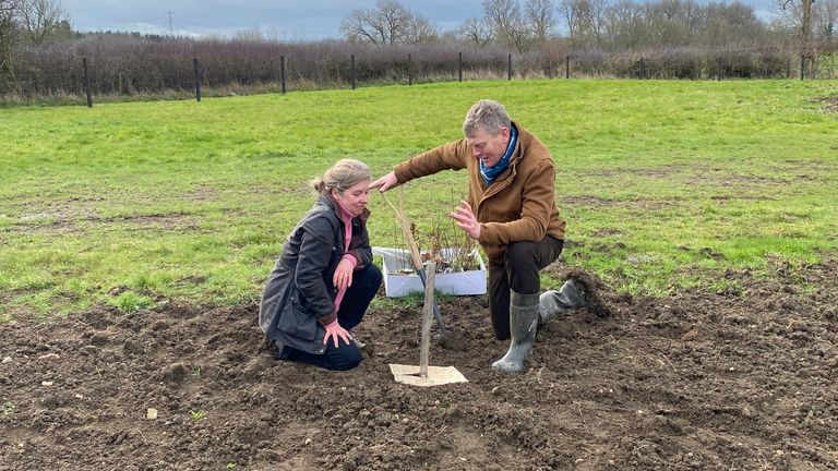 Tom Heap gets involved with replanting efforts in Cambridgeshire. For Tom Heap ClimateCast about the death of trees beside the A14 between Cambridge and Huntingdon.