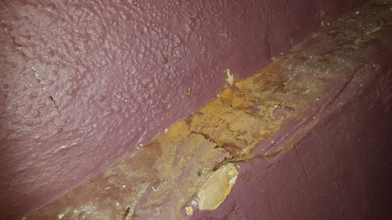 Inspectors found rat urine "running down the walls" inside Lilo Grill in Cardiff. Pic: Cardiff Council