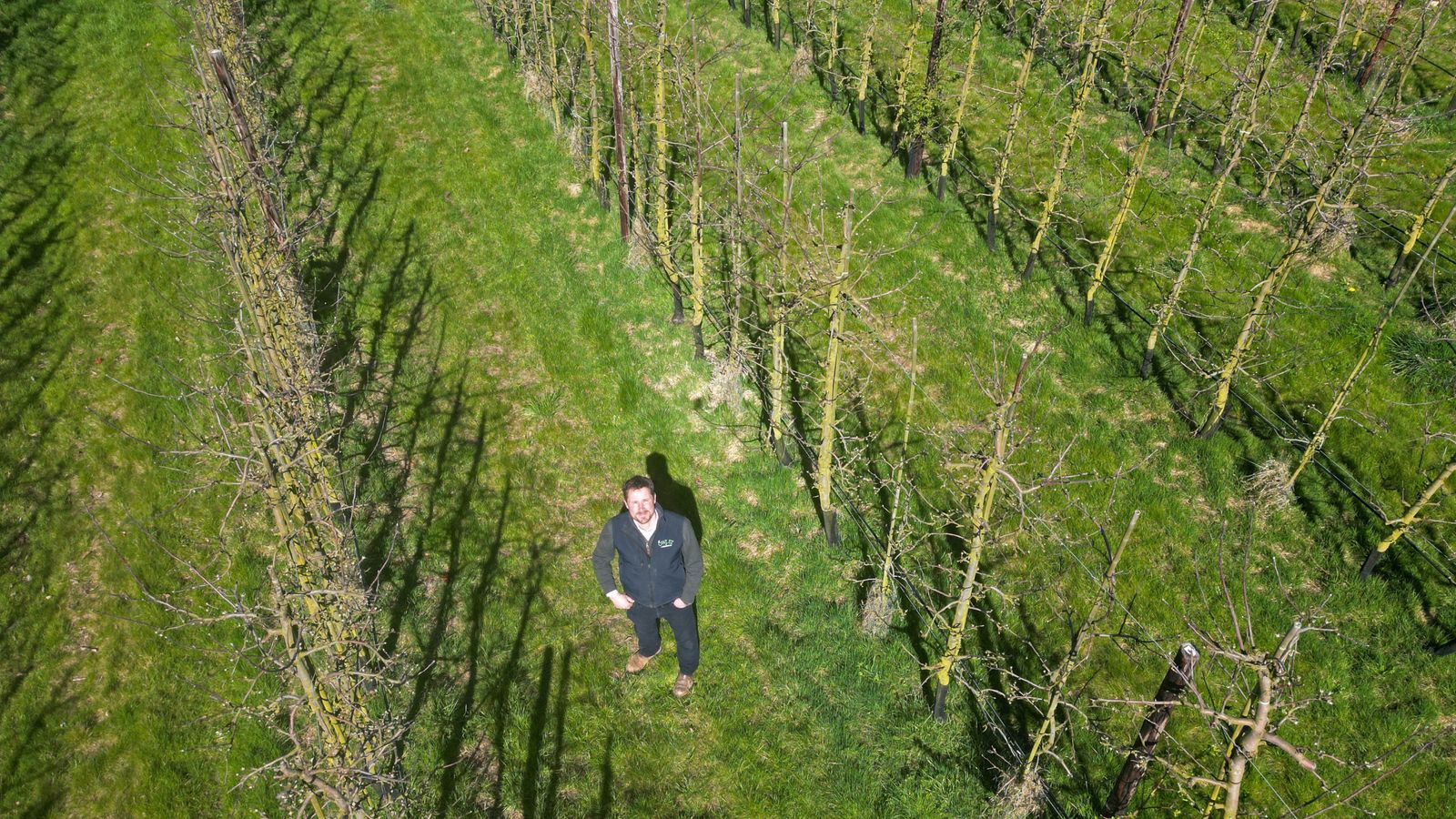 British apples under threat: How Brexit, supermarkets and the cost of ...