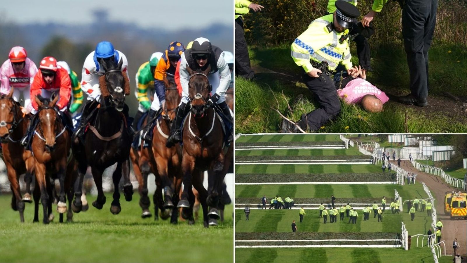 Grand National 'a disgrace': Animal rights groups call for jump racing ban after three horses die at Aintree
