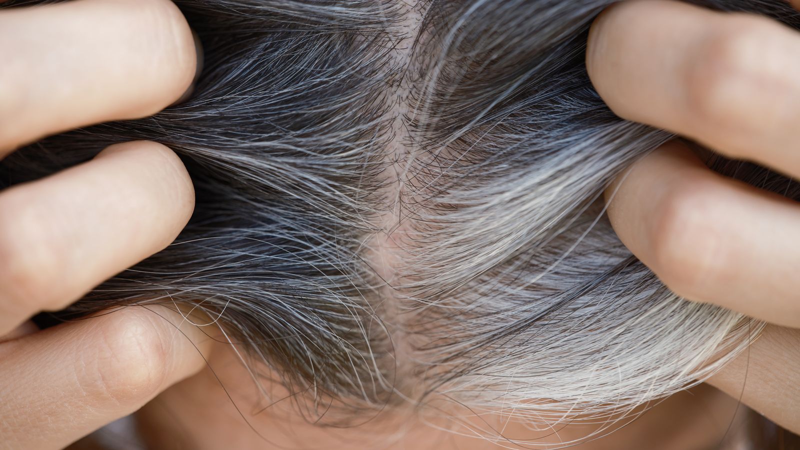 Scientific discovery might maintain key to stopping hair from going gray