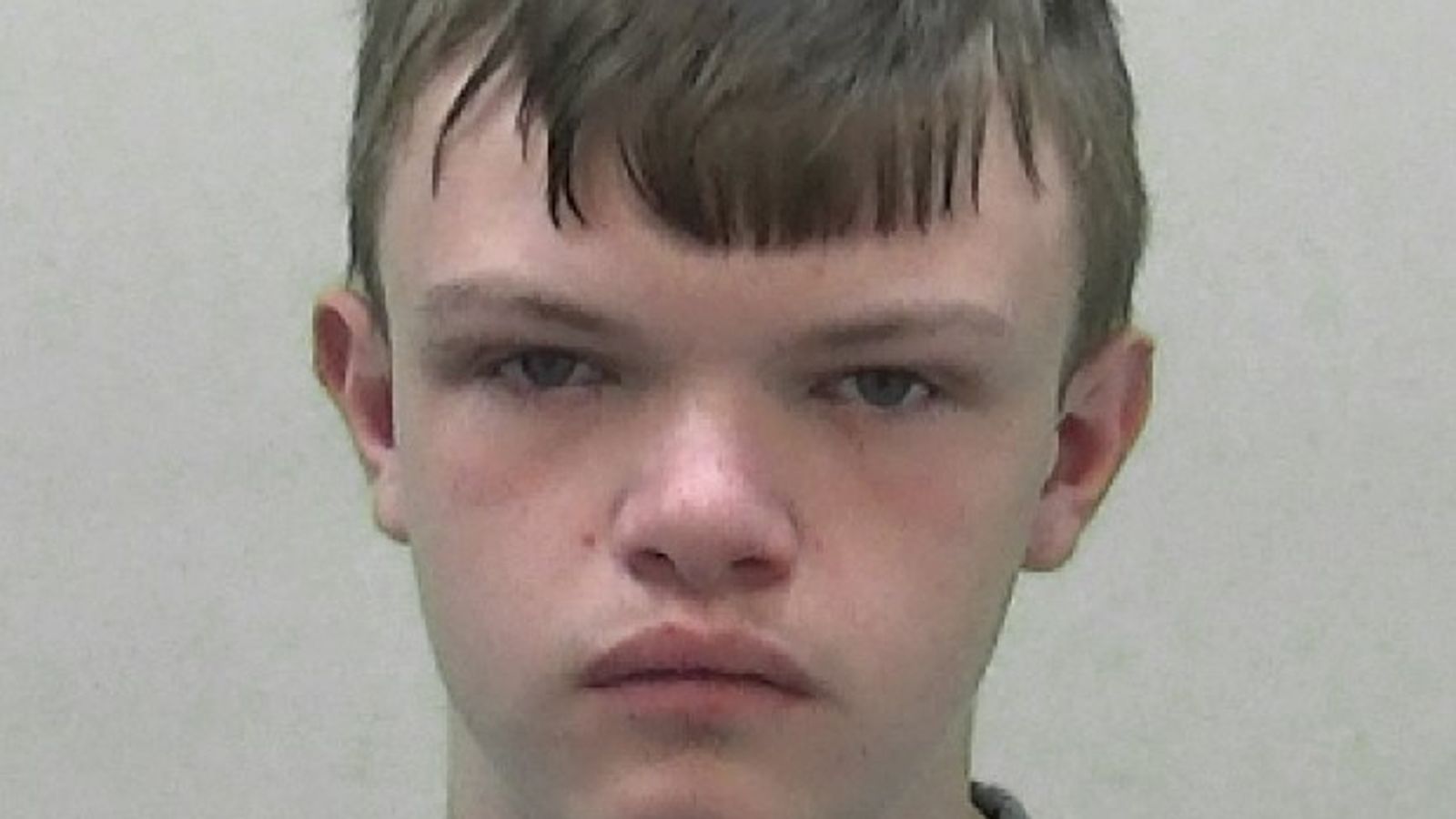 Boy, 15, convicted of murdering teenager in Gateshead park is named