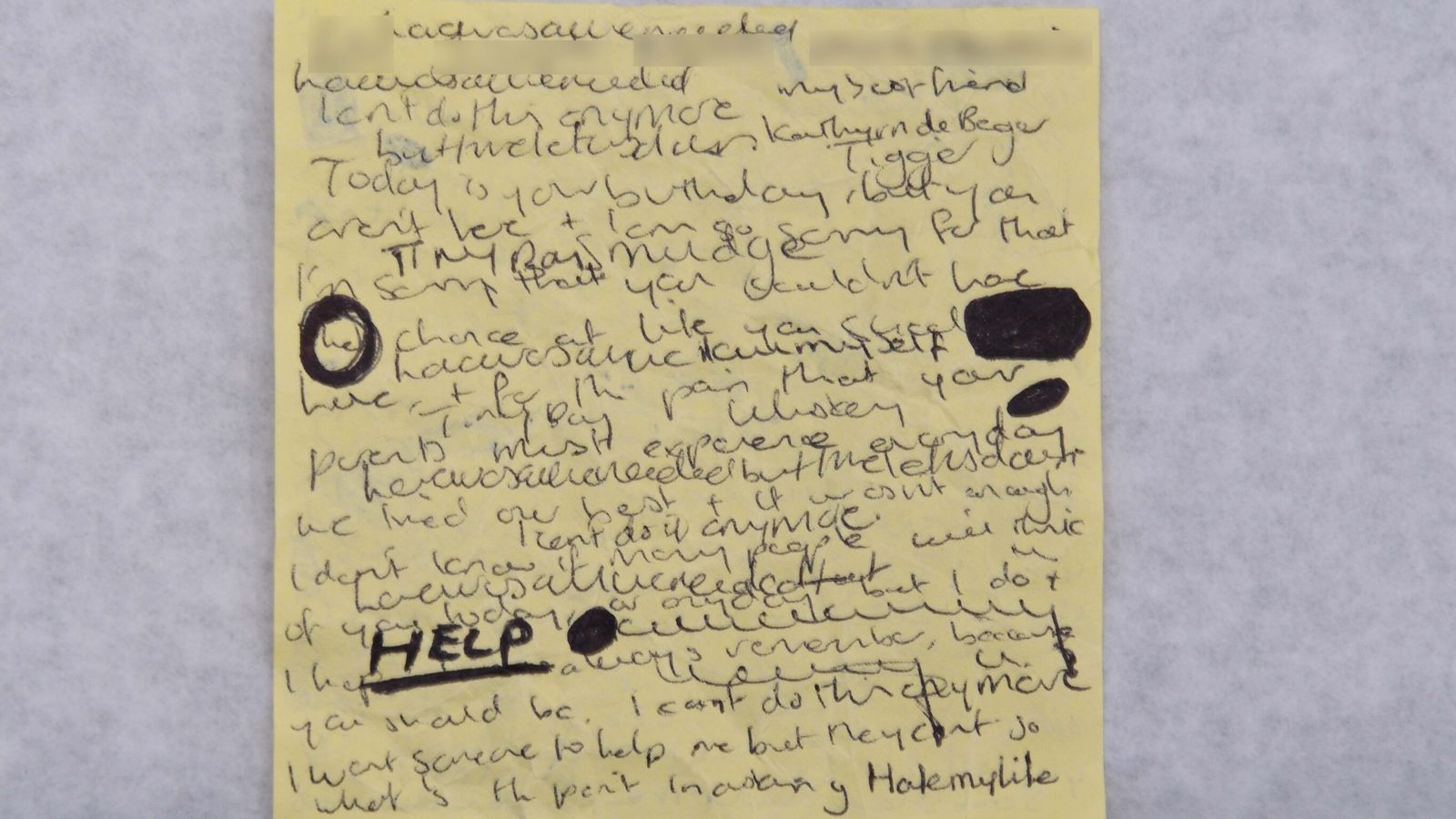 The Evidence Seen During Lucy Letby's Murder Trial, From Handwritten 