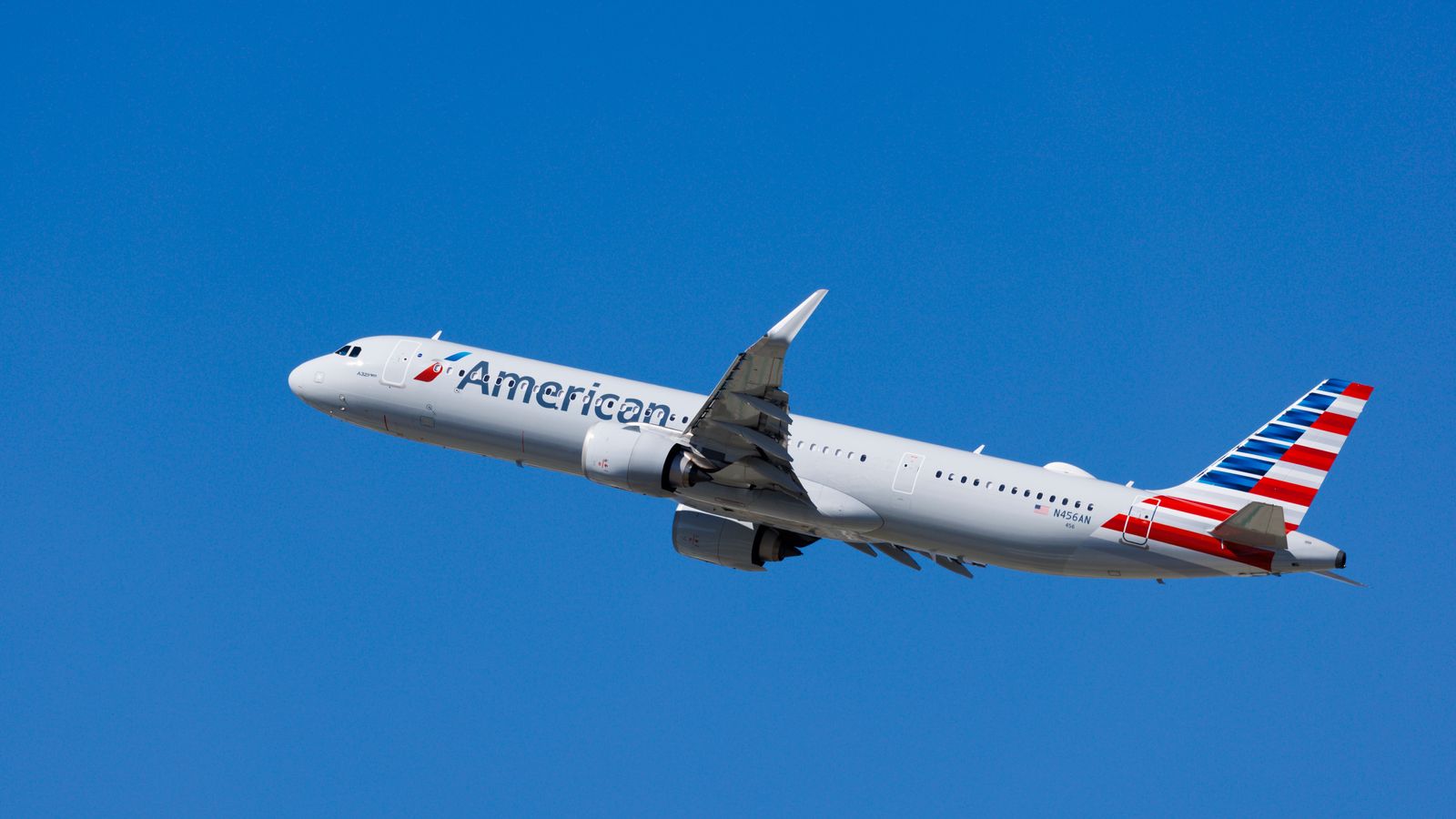 American Airlines plane engine catches fire after bird strike