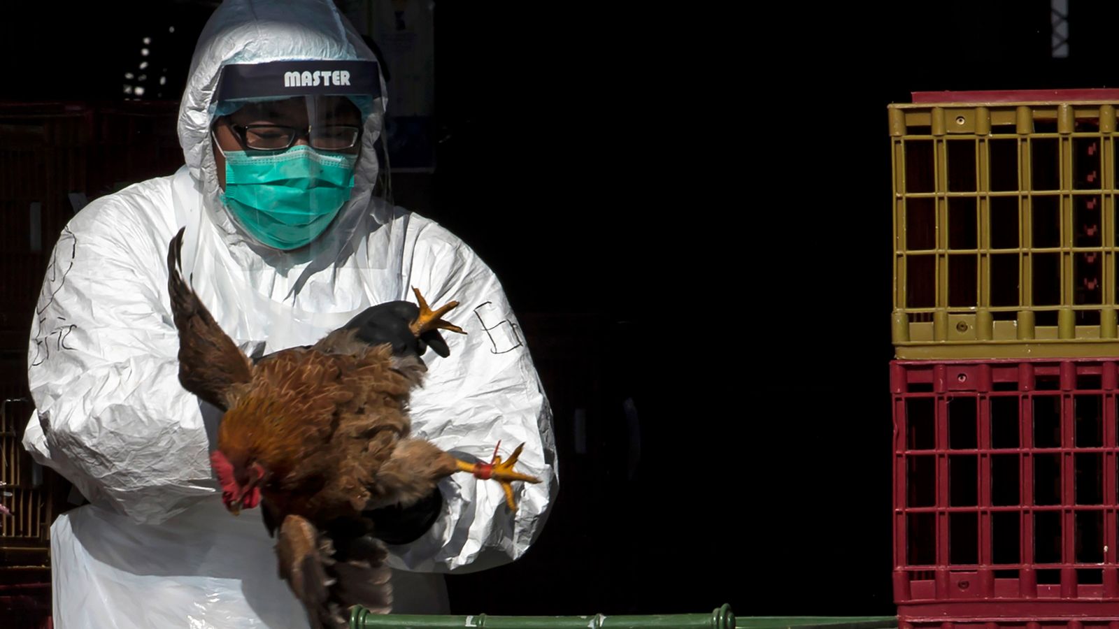 First human death from H3N8 bird flu recorded in China, WHO says