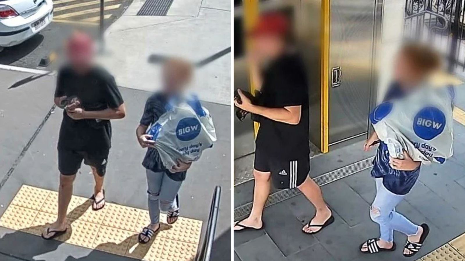 Australian police hunt pair who stole a platypus and took it onto a train