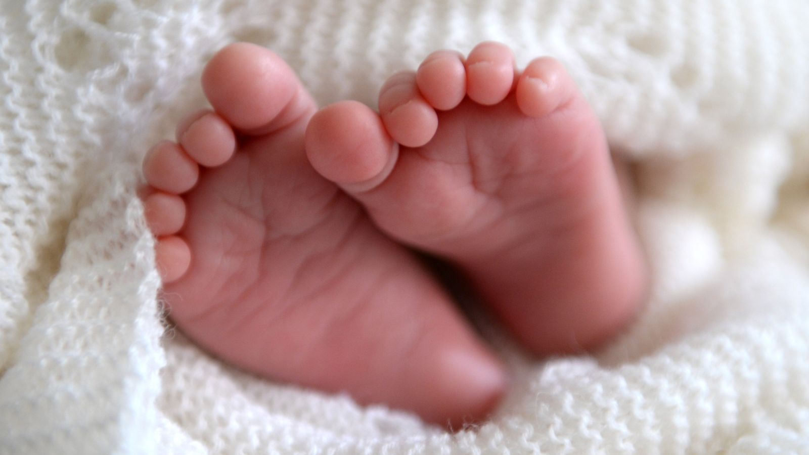 Père d’au moins 550 enfants interdit de donner plus de sperme |  Nouvelles du Royaume-Uni