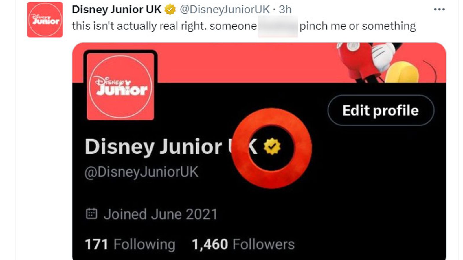 Twitter provides gold tick to faux Disney account