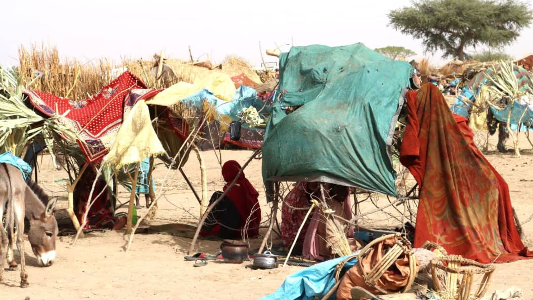 Sudan: PM chairs COBRA meeting over 'extremely concerning' situation as ...