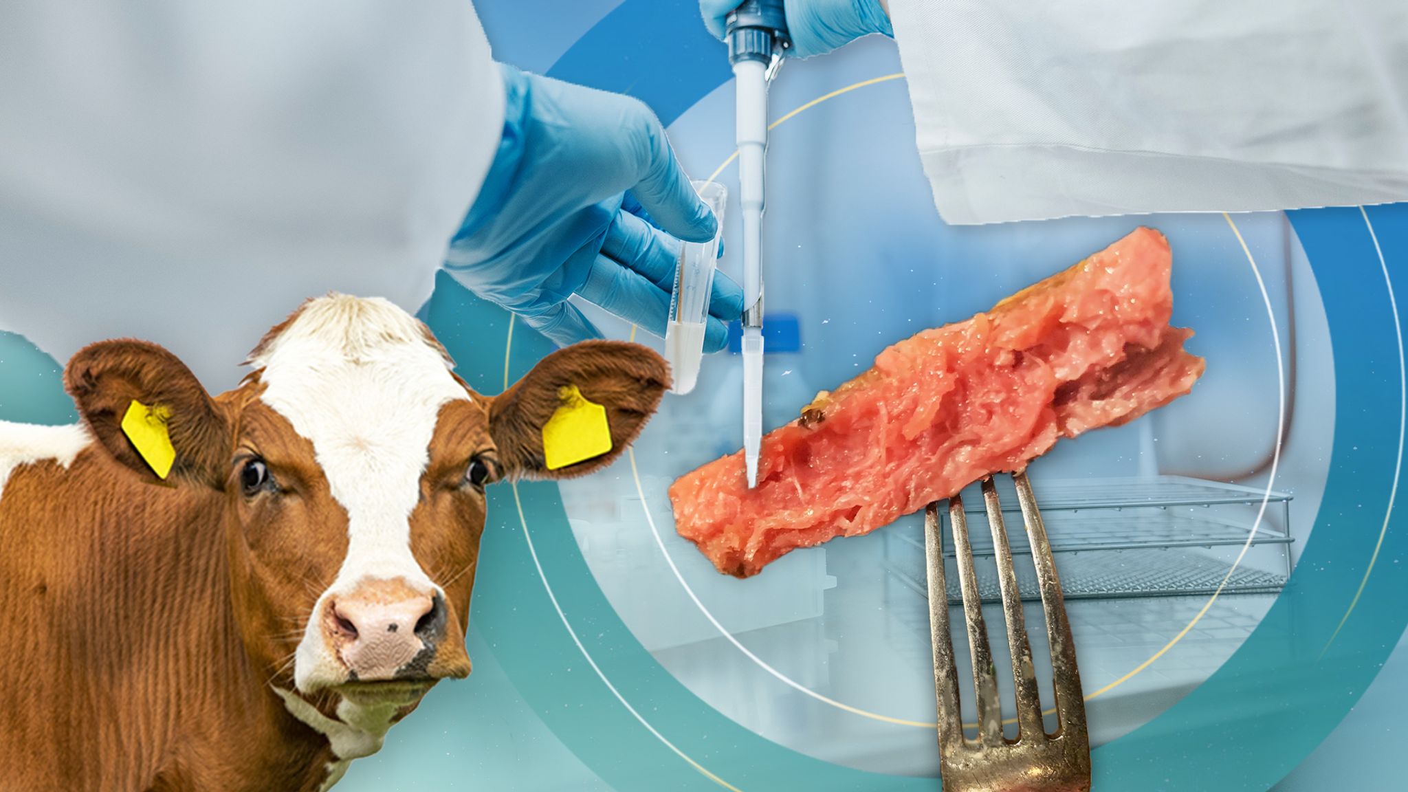 Cultured Meat is Vegan – confusion